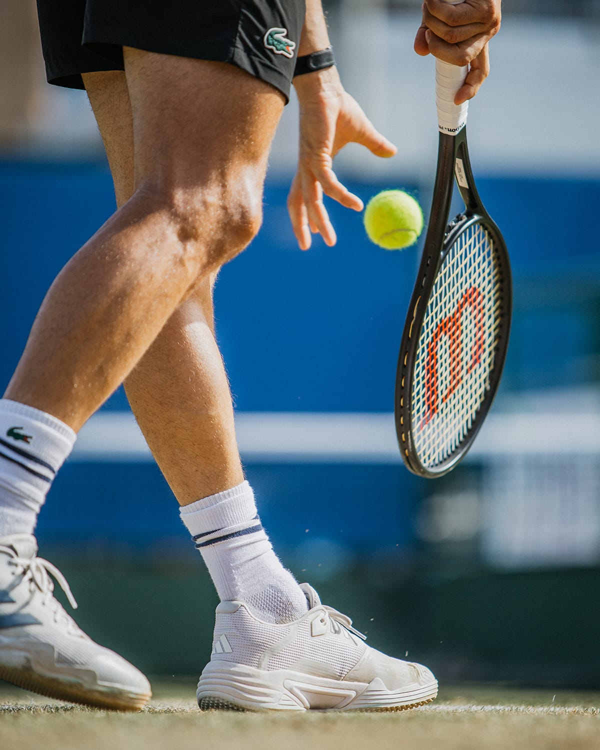 Vanda Pharmaceuticals Mallorca Championships 2026 | Àncar Studio