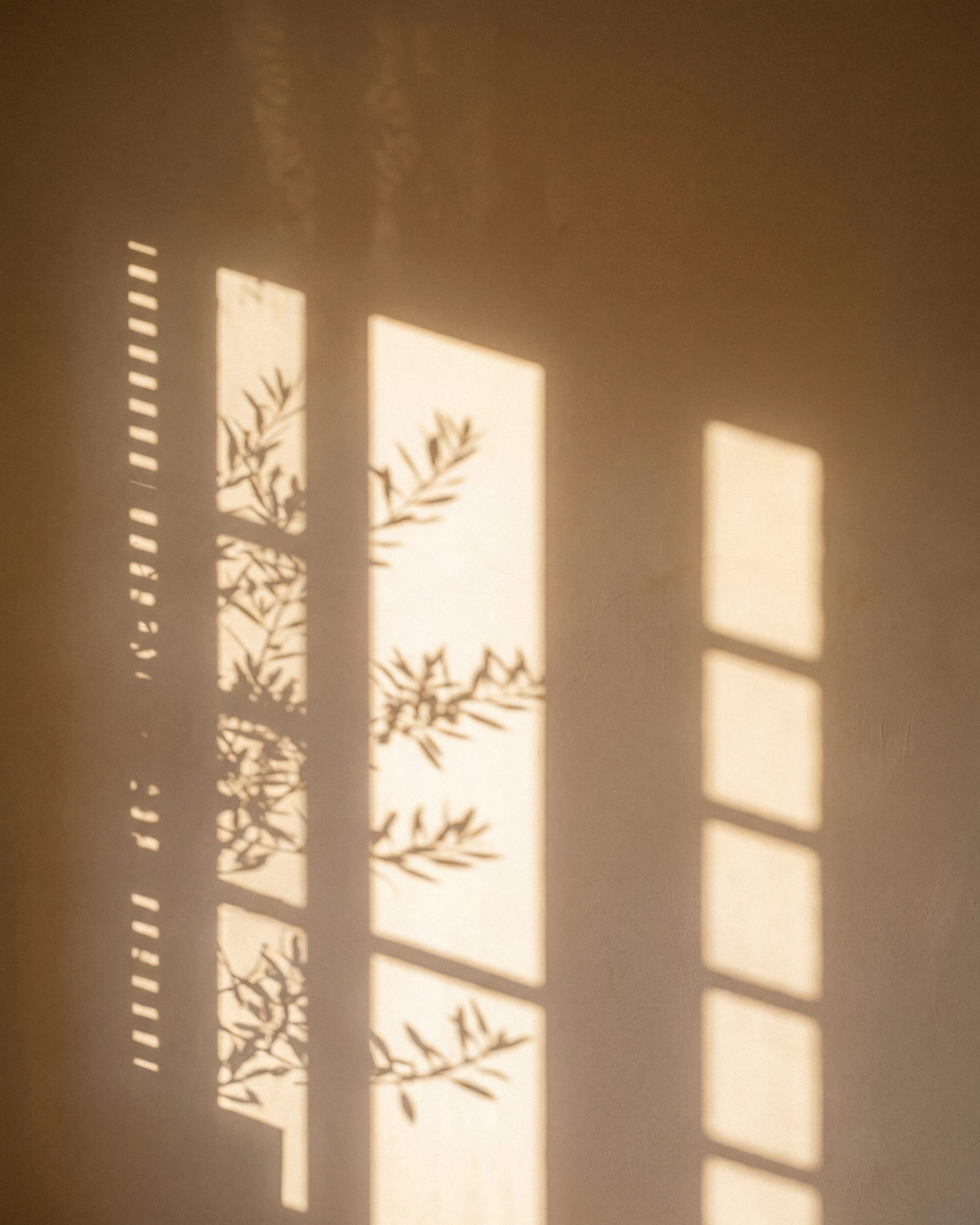 Finca Banyols | Àncar Studio