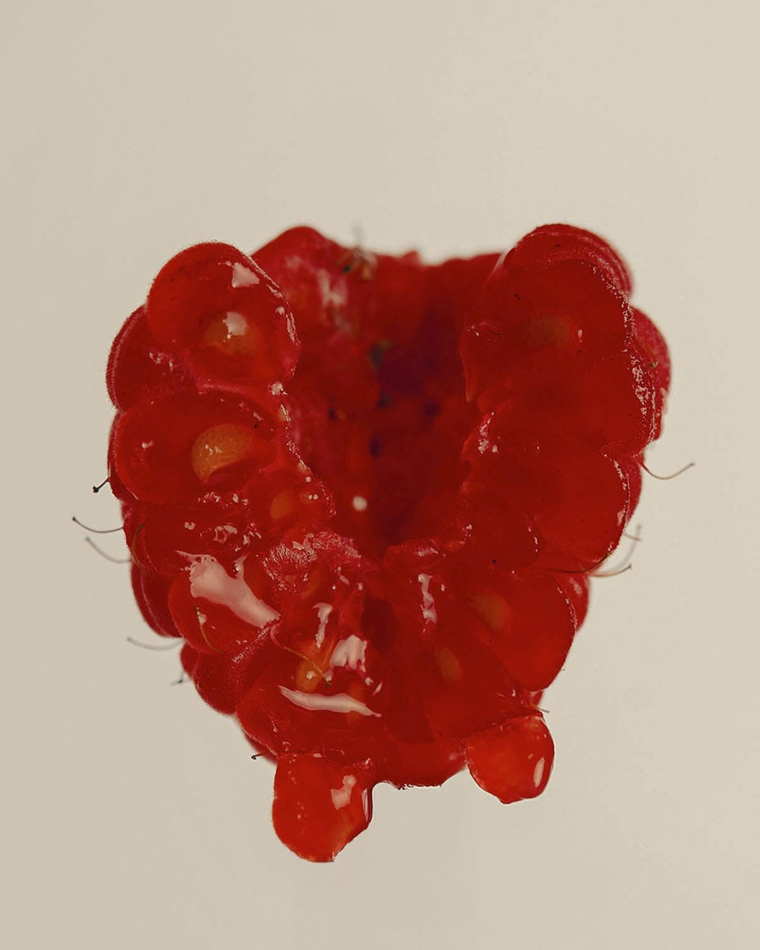 Frutas Ramón | Àncar Studio