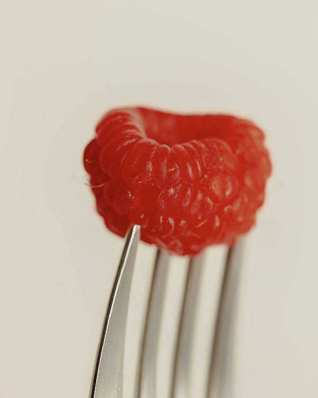Frutas Ramón | Àncar Studio