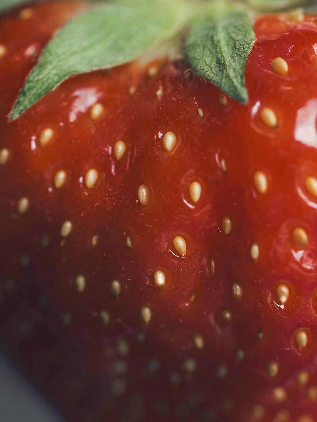 Frutas Ramón | Àncar Studio
